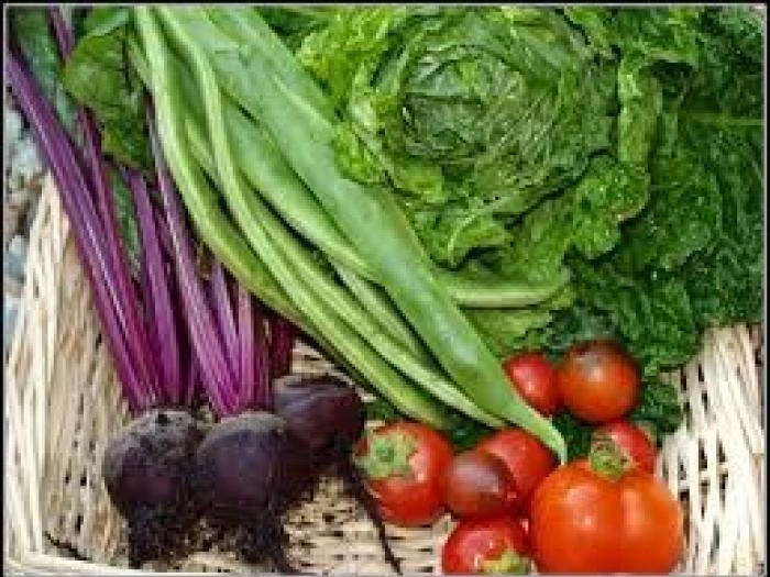harvest veg