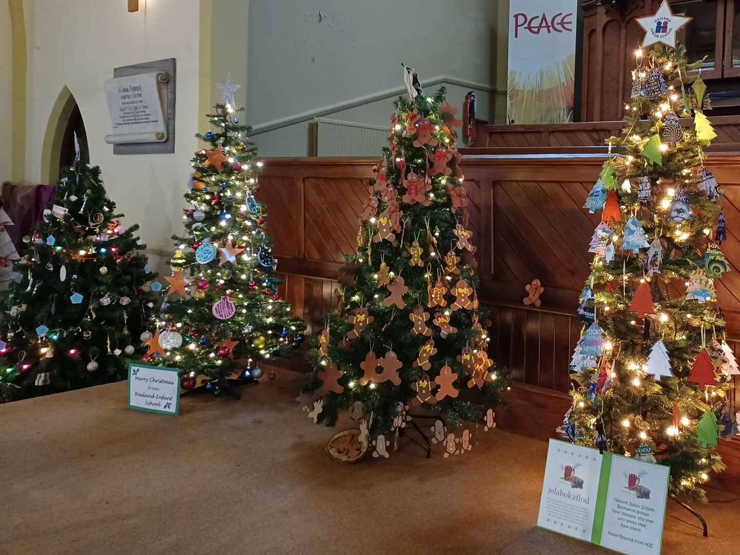 hasland christmas trees2