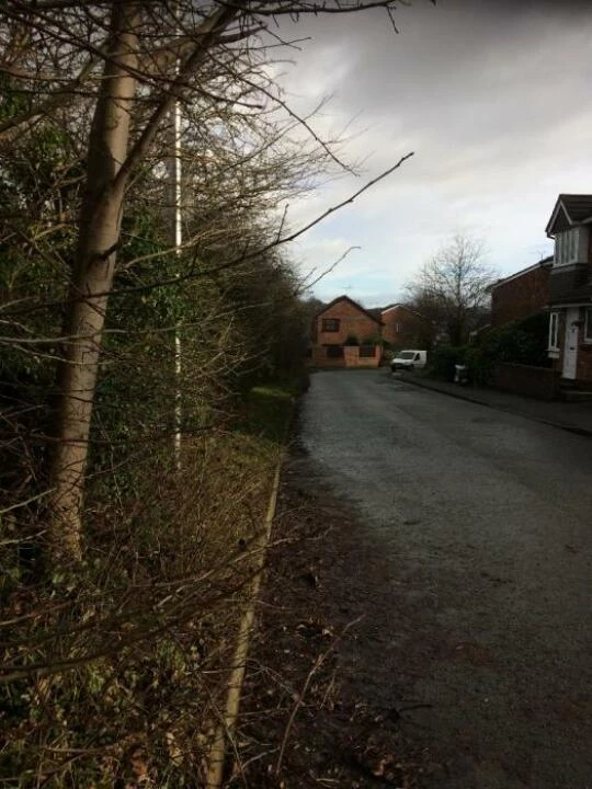 hedgeridgeway