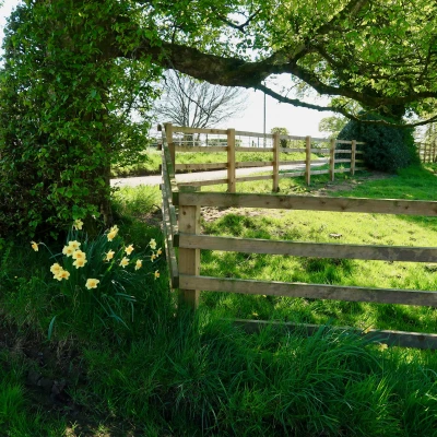 henbury onlineimage