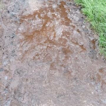 henwirfootpath1