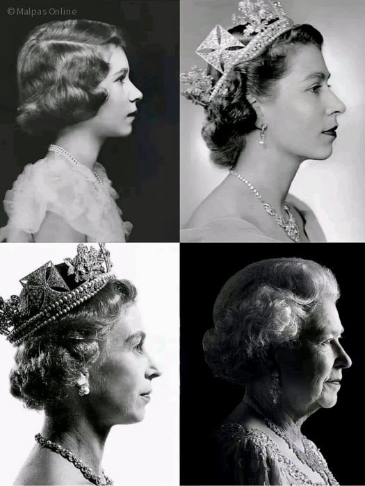 her majesty the queen