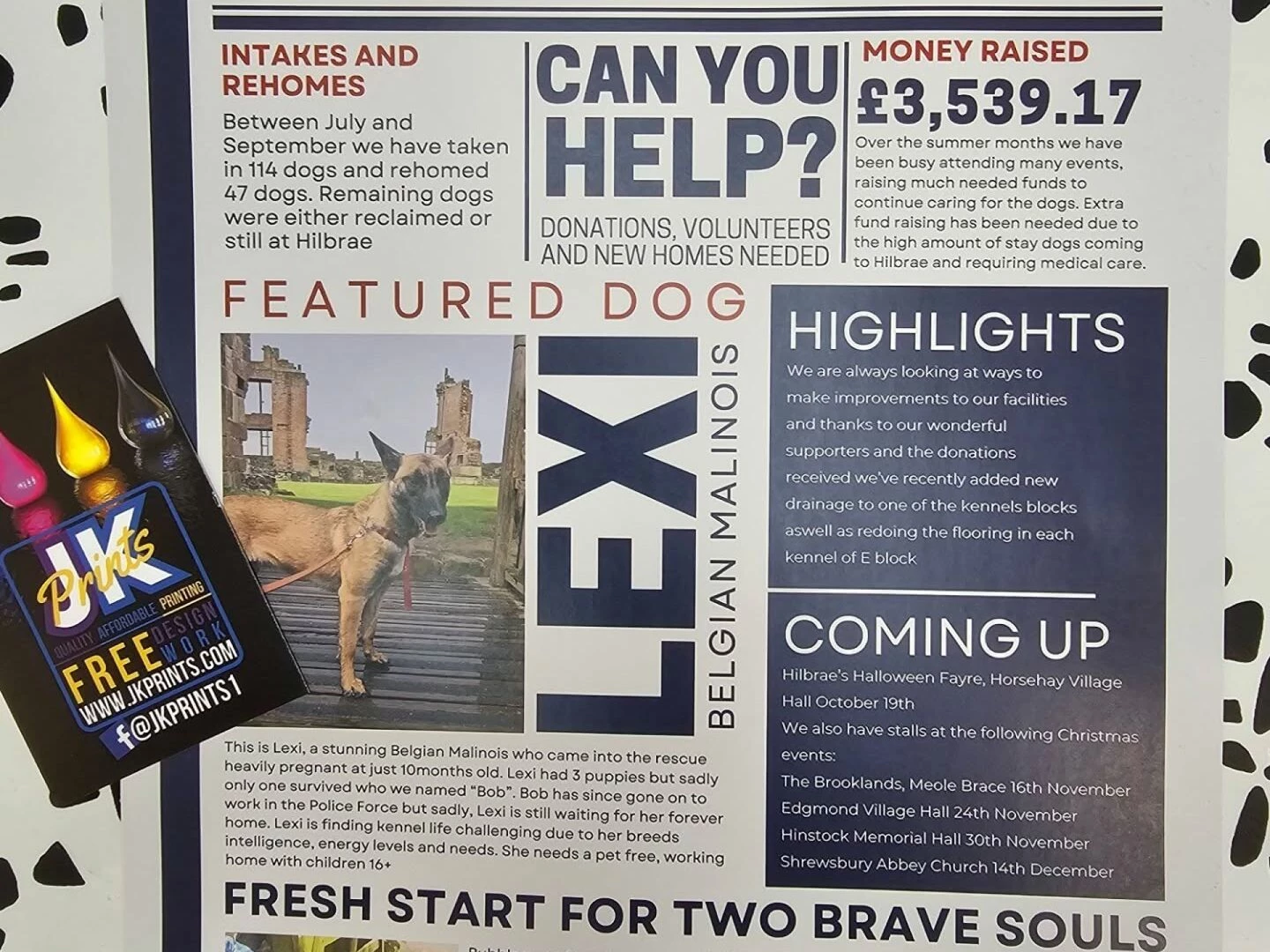 hilbrae newsletter a4 170gsm silk flyers