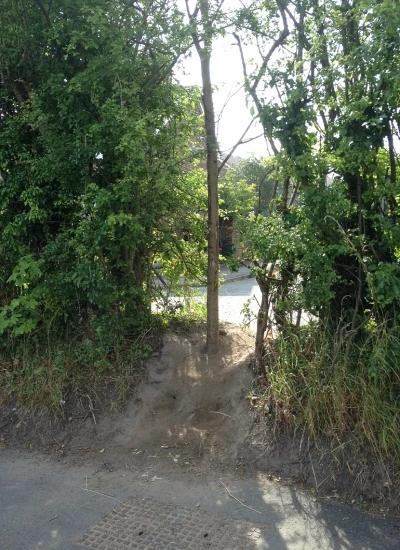 hole in hedge