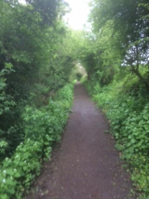 hollow way2small