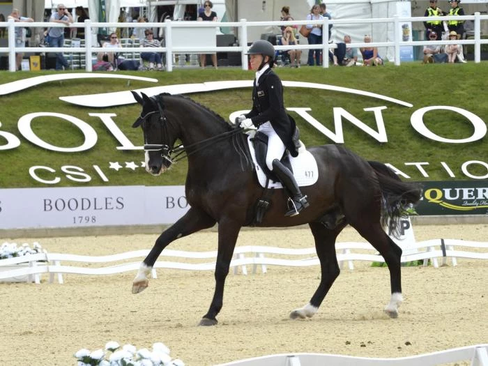 horse