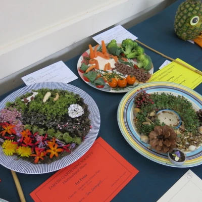 horticultural show  garden on a dinner plate