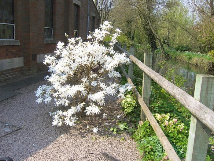 hungerford 3