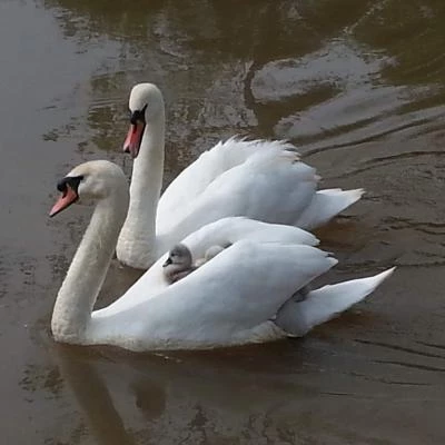 image 20190524094853