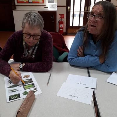 image 20191008leaf quiz01