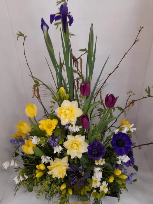 image 20230429 105153 001