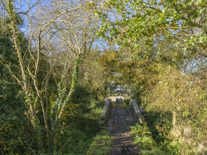 image 20231111 110311