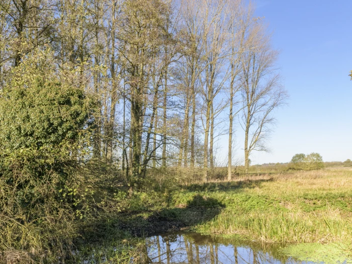 image 20231111 112114