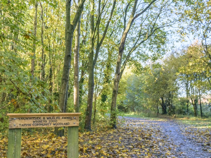 image 20231111 115250 01