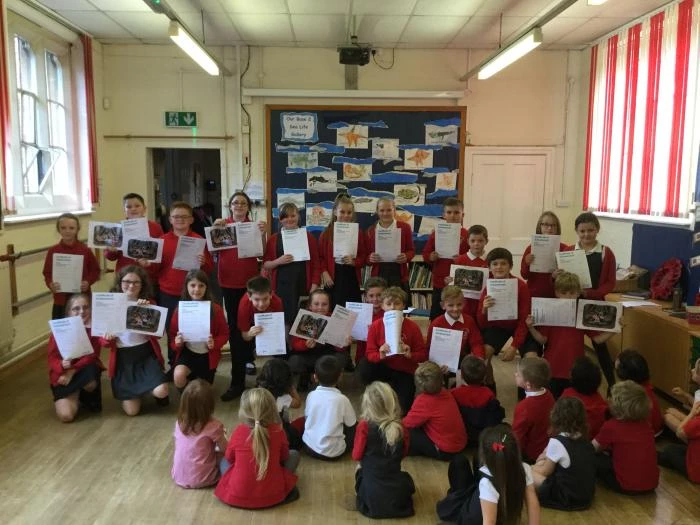 image 5e50792439044b5fb7f1309a43344d86