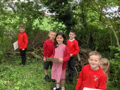 image 6862fdda416e476d804b0a5cfb87fdcf