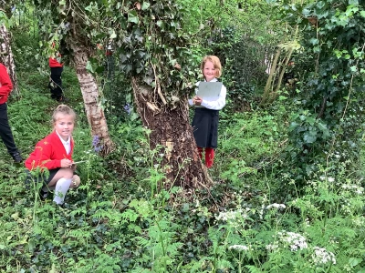 image 911d6f18f3a24060bed31724204344a9