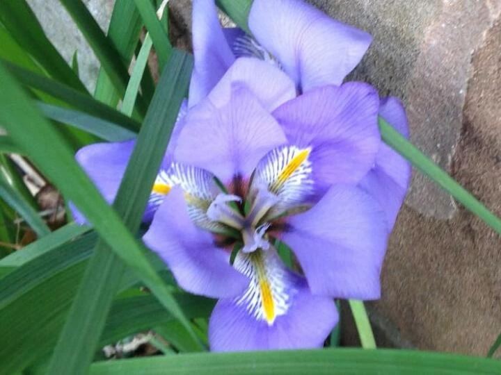 image0954