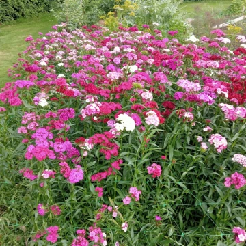 image20240612182414