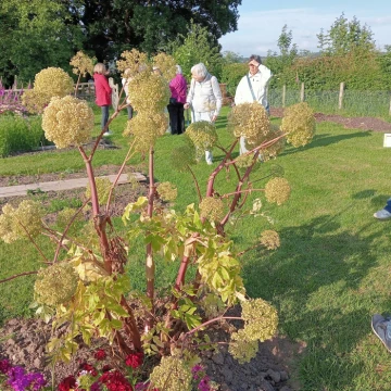 image20240612190116