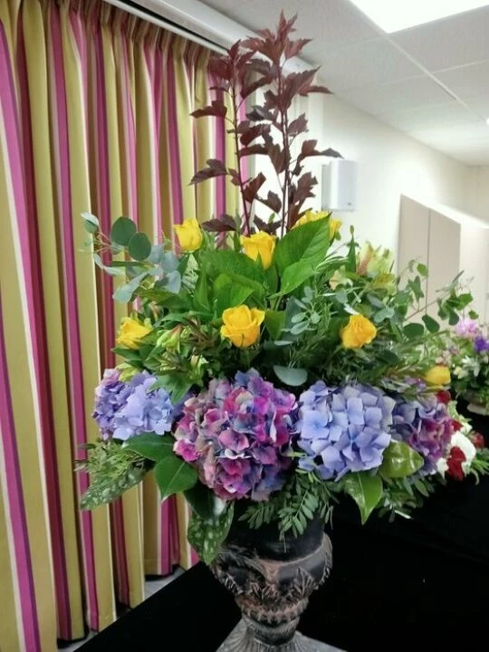 image20240911210215