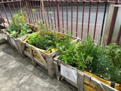 incredible edible