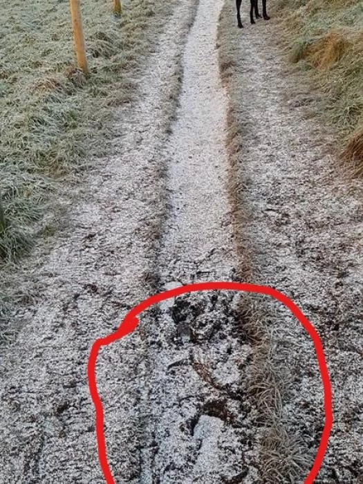 inkedwhirley path1li