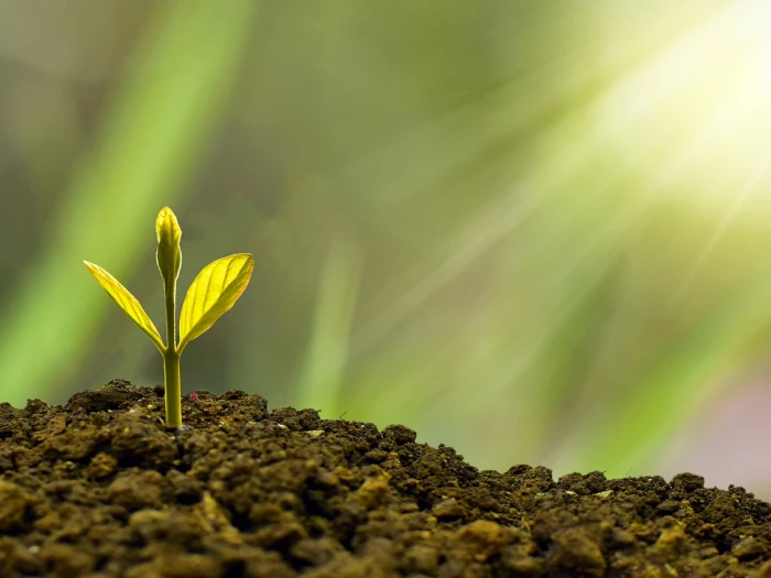 investment concept business