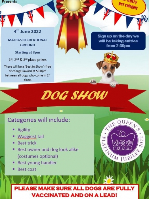 what are the categories in a dog show