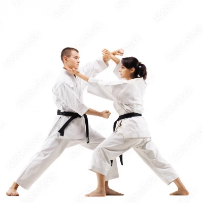 karate adults