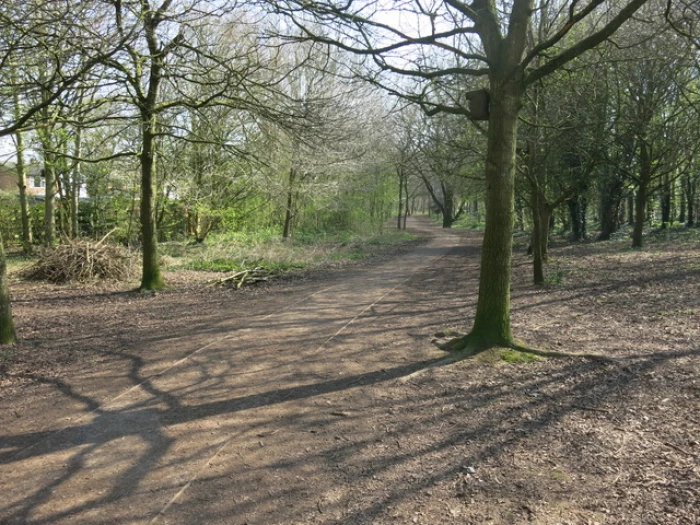 keith barker woodland april 2020 6