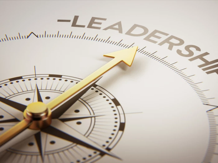 leadership compass