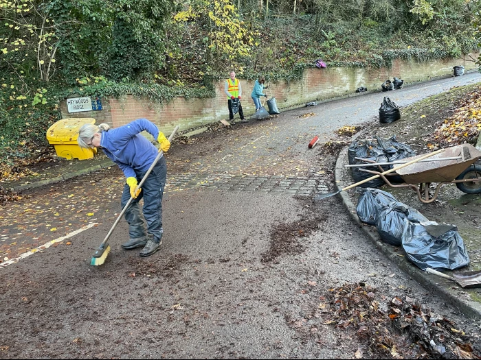 leaf cleaning