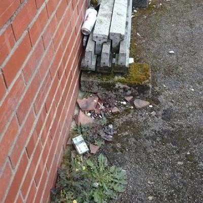 litter 3