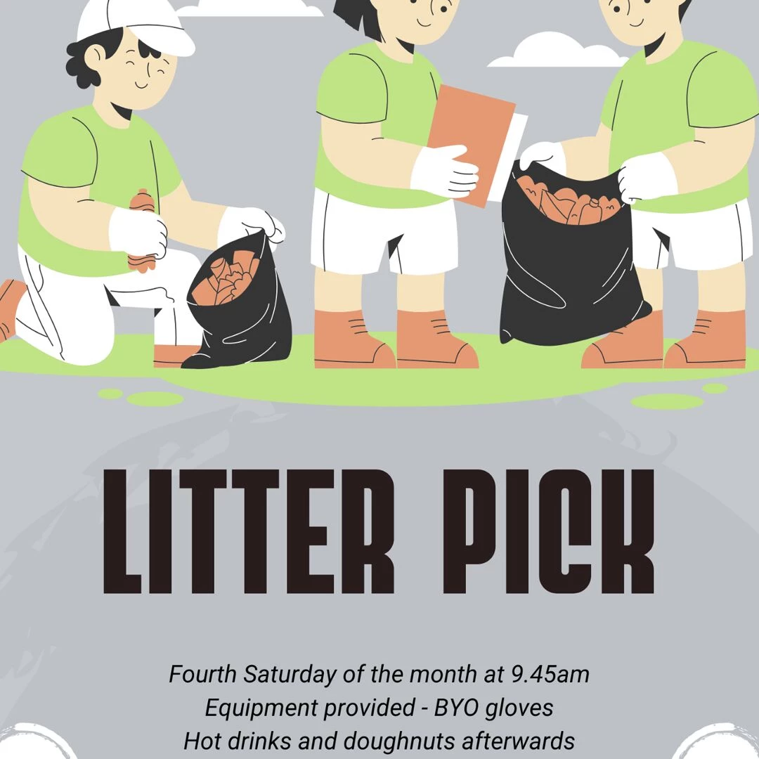 litter pick poster