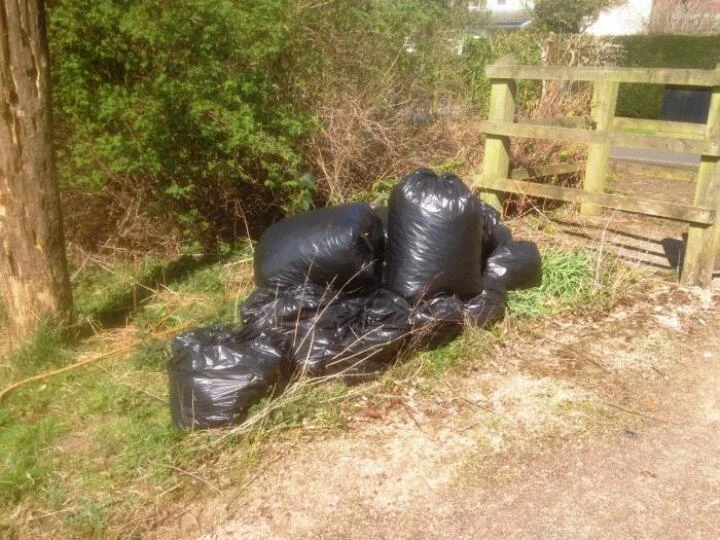 litterpic171