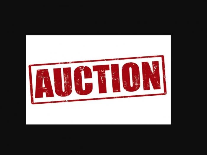 lllovely auction