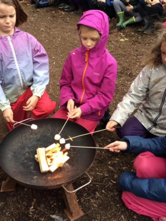 marshmallows