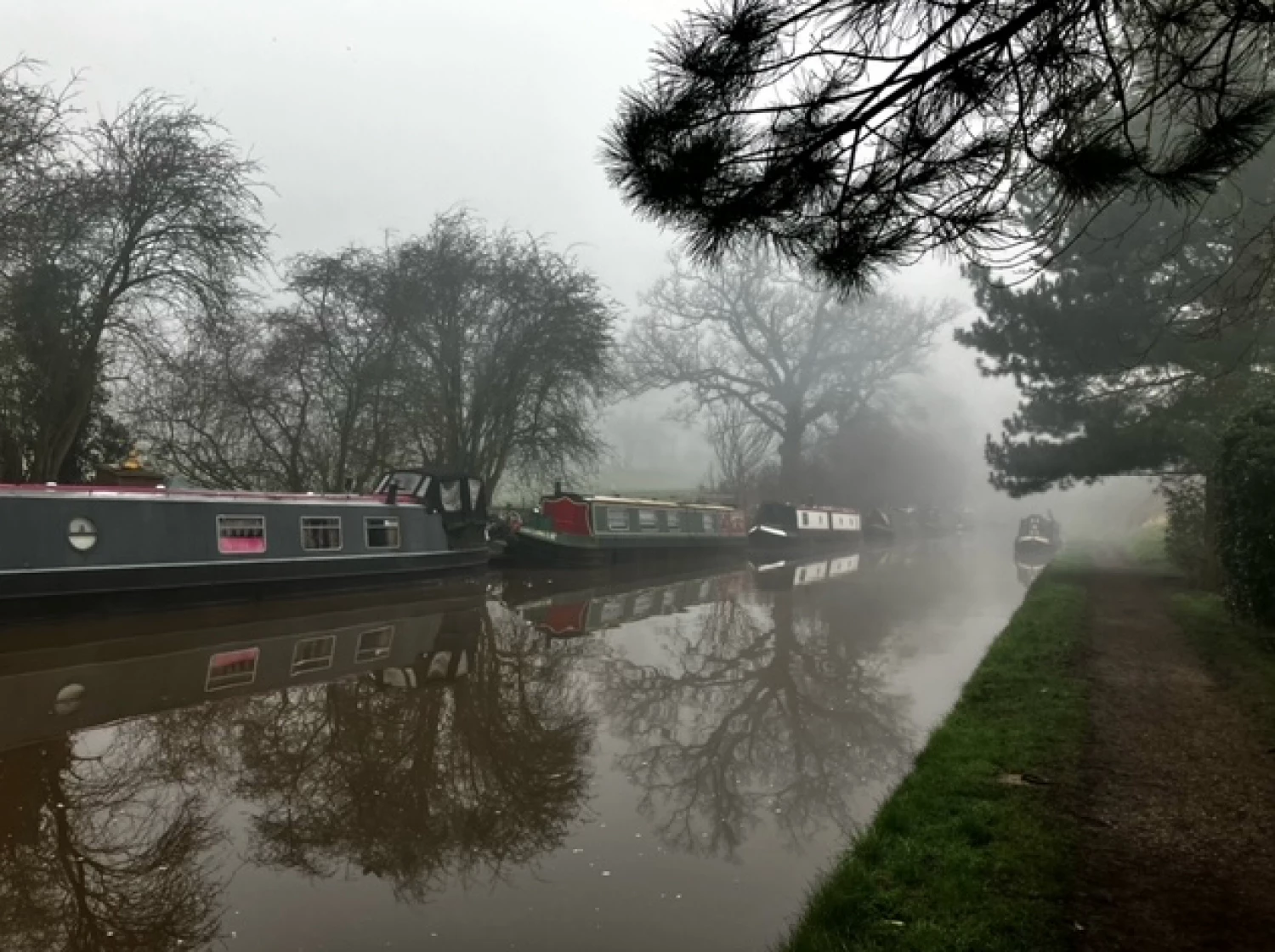misty morning on the canal