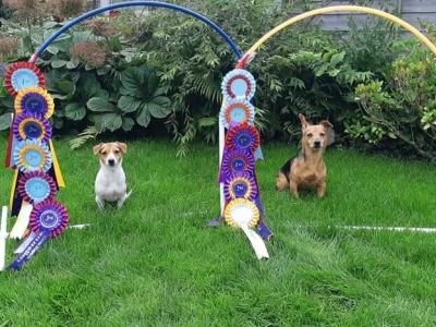momo and maya with their rosettes