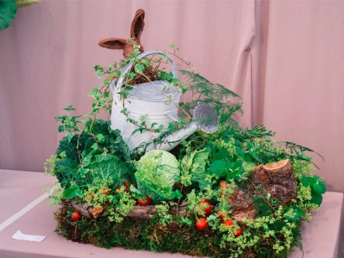 mr mcgregors garden