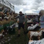 nantwich show 2015