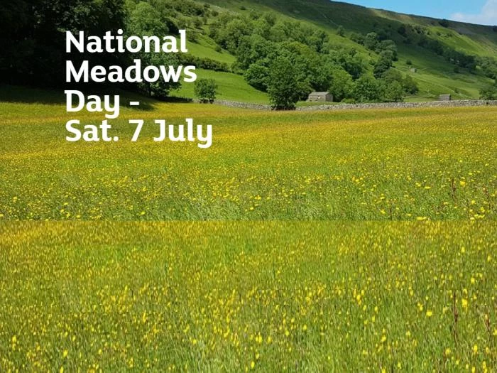 national-meadows-day
