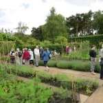 ness gardens jpg7