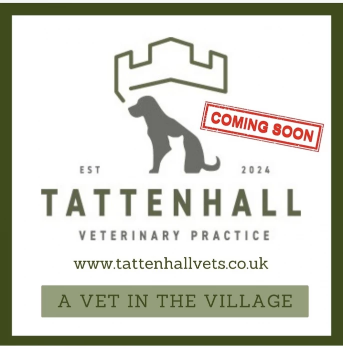 new vet