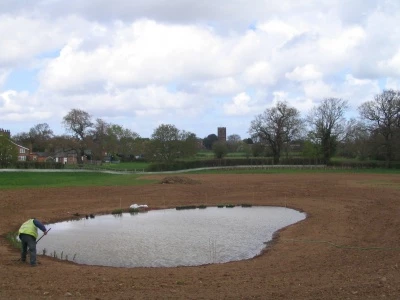 newt ponds