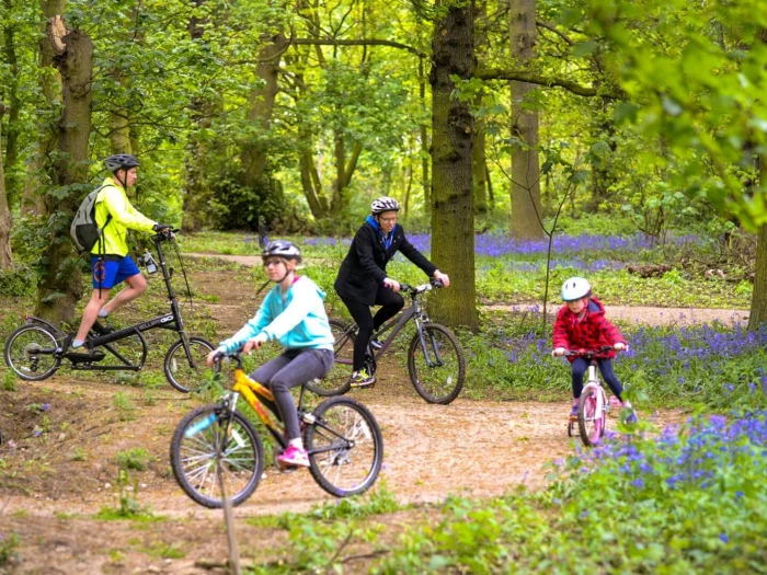 nostell priory mtb cycle trail 01
