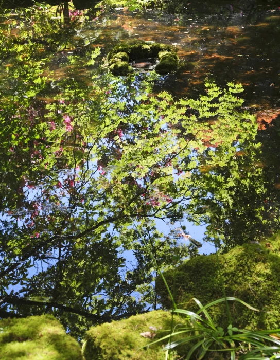 on reflection