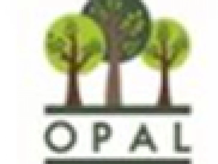 opal