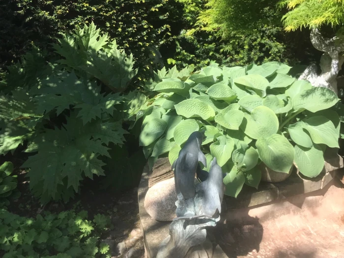 open gardens